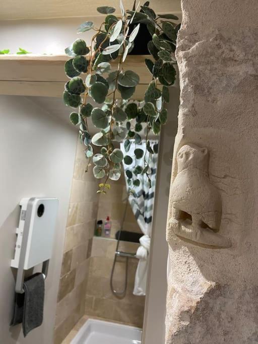Cosy Chouette Διαμέρισμα Ντιζόν Εξωτερικό φωτογραφία